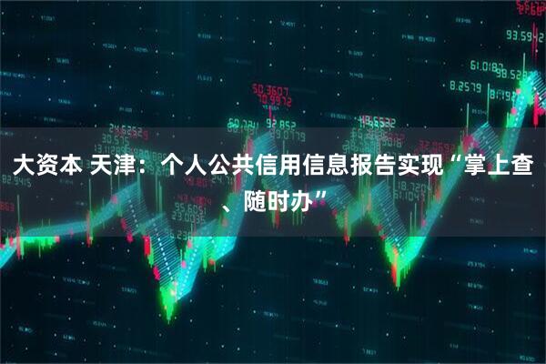 大资本 天津：个人公共信用信息报告实现“掌上查、随时办”