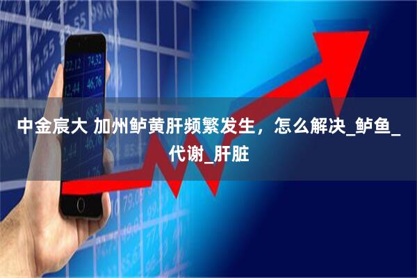 中金宸大 加州鲈黄肝频繁发生，怎么解决_鲈鱼_代谢_肝脏