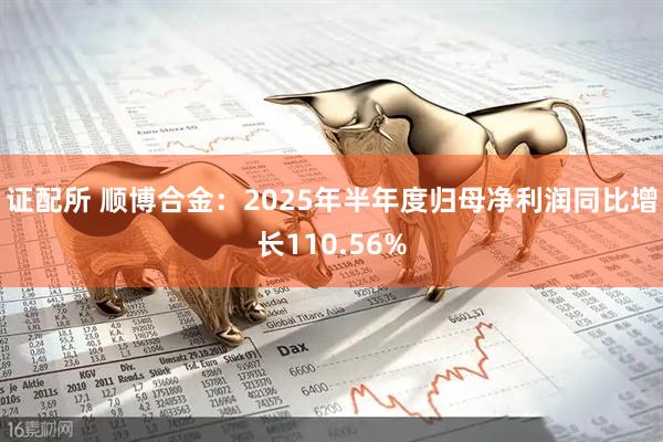 证配所 顺博合金：2025年半年度归母净利润同比增长110.56%
