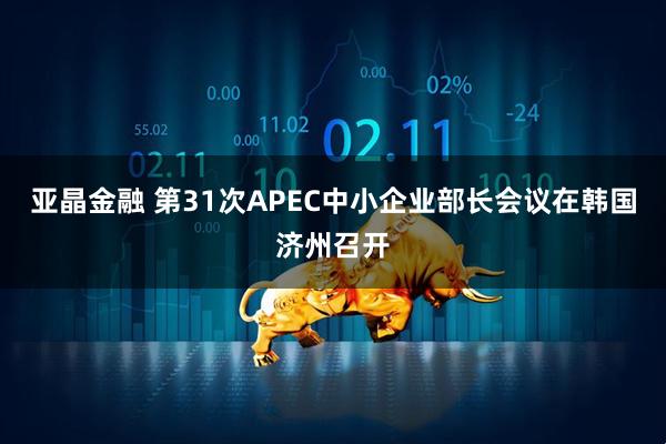 亚晶金融 第31次APEC中小企业部长会议在韩国济州召开