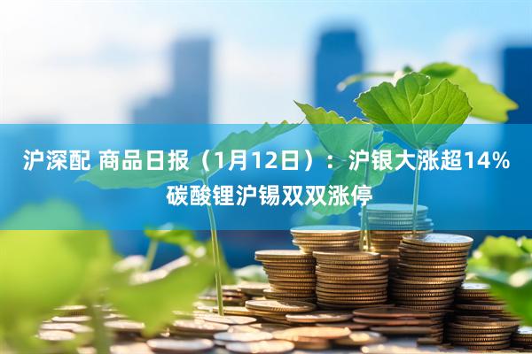 沪深配 商品日报（1月12日）：沪银大涨超14% 碳酸锂沪锡双双涨停