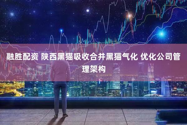 融胜配资 陕西黑猫吸收合并黑猫气化 优化公司管理架构